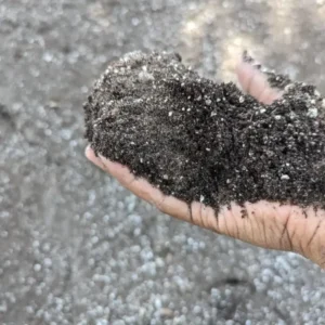 Black Dirt
