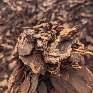 Pine Bark Nuggets