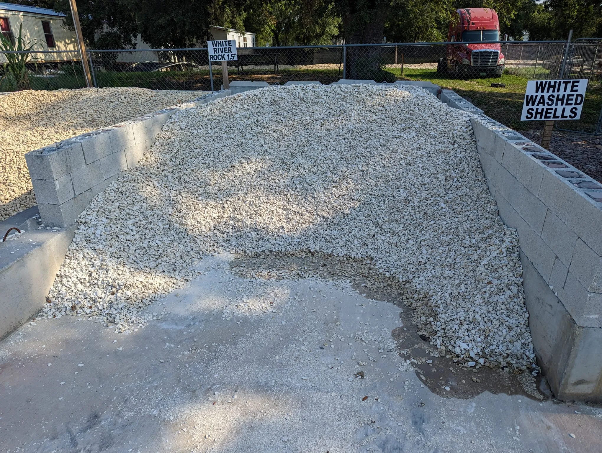 Washed Shells - Image 2