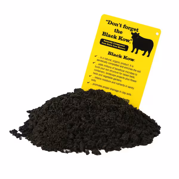 Black Cow Manure - Image 3