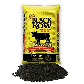 Black Cow Manure
